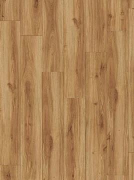 Picture of Moduleo Transform Wood Dry Back Classic oak 24235