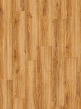Picture of Moduleo Transform Wood Dry Back Classic oak 24438
